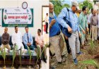 রাজশাহীতে এক হাজার তালগাছের চারা রোপণ কর্মসূচির উদ্বোধন