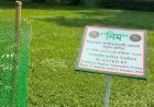 জিয়া উদ্যানে উত্তরাঞ্চল জাতীয়তাবাদী ফোরামের নিমগাছ রোপণ