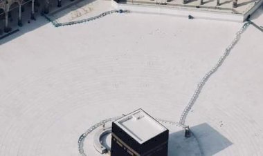 পাখিদের কা'বা তওয়াফের দৃশ্য