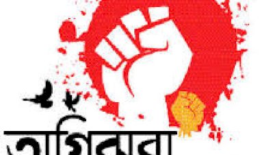 বাংলাদেশ যখন মুজিববর্ষ পালন করছে তখন তারা ‘পাকিস্তান দিবস’ পালন করছে