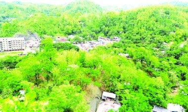 করোনায় যেন প্রাণ ফিরে পেল পাহাড়ের প্রকৃতি