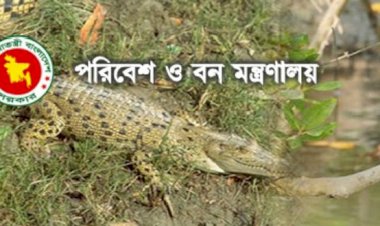পরিবেশ ও বন্যপ্রাণী রক্ষাঃ অপরাধের তথ্য দিলে মিলবে টাকা