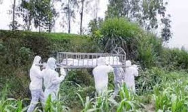 সাবধানঃঃকরোনায় মৃত্যুর মিছিল বাংলাদেশেঃ একদিনে ঝড়ে গেল ৯৬টি প্রাণ