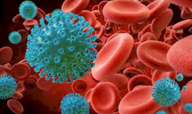 মুখের স্বাদ ঠিক, জ্বর নেইঃ ওমিক্রন ভাইরাস চিনবেন কিভাবে?