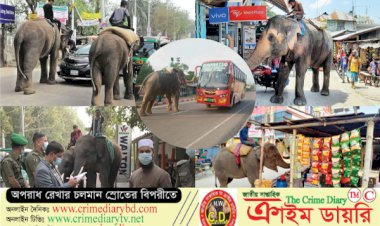 বন্যপ্রাণী দিয়ে চাঁদাবাজি বন্ধের দাবী প্রকৃতিপ্রেমিক গণমানুষের