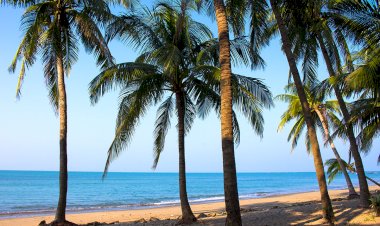 সেন্ট মার্টিন দ্বীপের জন্য মহাপরিকল্পনা নিয়েছে সরকার