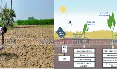 হেভি মেটালযুক্ত খাদ্য: হুমকিতে জনস্বাস্থ্য, সিদ্ধান্ত নেবার এখনই সময়