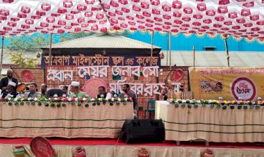 মাইলস্টোন স্কুল এন্ড কলেজে তারুণ্যের রঙে সেজেছে ঐতিহ্যবাহী পিঠা উৎসব