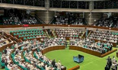 অন্তর্বর্তী সরকারের যে অধ্যাদেশগুলো বাতিল ও সংশোধিত হবে তা প্রকাশ