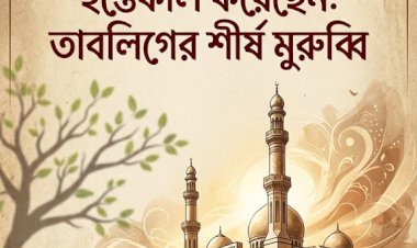 শীর্ষ তাবলিগ মুরুব্বি মাওলানা ফারুক ইন্তেকাল করেছেন