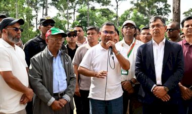 দেশব্যাপী ২৫ কোটি বৃক্ষরোপণ কর্মসূচির উদ্বোধন; সবুজ বাংলাদেশ গড়ার আহ্বান প্রধানমন্ত্রীর