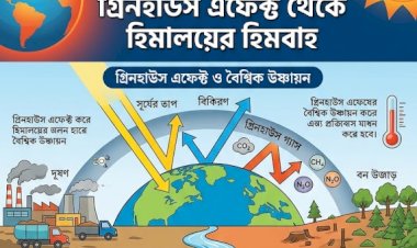 প্রকৃতির আগাম বার্তা: গ্রিনহাউস এফেক্ট থেকে হিমালয়ের হিমবাহ ভয়াবহ ভবিষ্যতের মুখোমুখি মানবজাতি