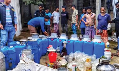 সয়াবিন তেল-ইউরিয়া-ডিটারজেন্টে ‘দুধ’, বিপর্যয়ের মুখে পাবনার দুগ্ধশিল্প