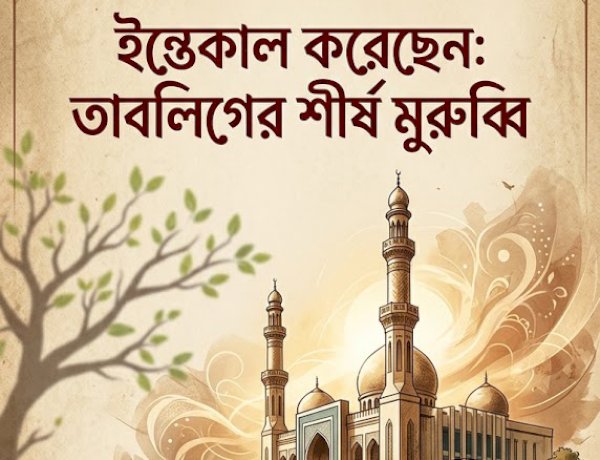 শীর্ষ তাবলিগ মুরুব্বি মাওলানা ফারুক ইন্তেকাল করেছেন