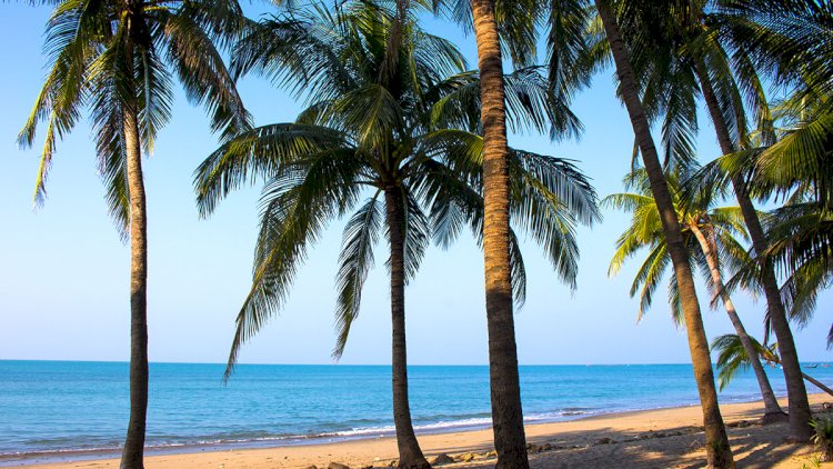 সেন্ট মার্টিন দ্বীপের জন্য মহাপরিকল্পনা নিয়েছে সরকার