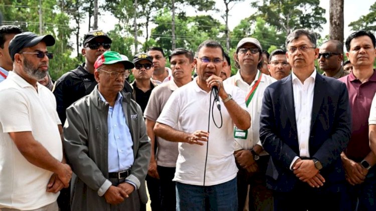 দেশব্যাপী ২৫ কোটি বৃক্ষরোপণ কর্মসূচির উদ্বোধন; সবুজ বাংলাদেশ গড়ার আহ্বান প্রধানমন্ত্রীর