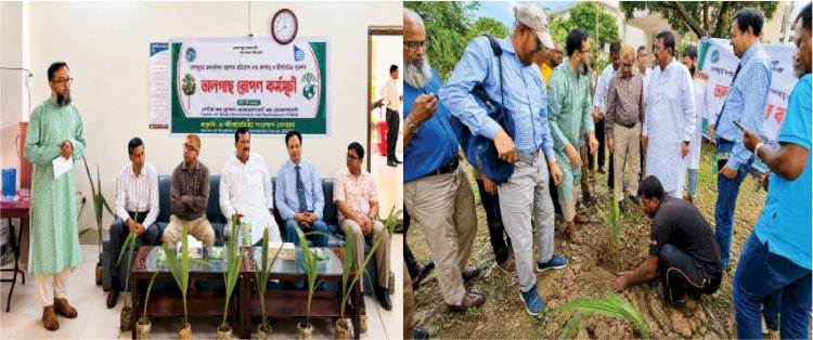 রাজশাহীতে এক হাজার তালগাছের চারা রোপণ কর্মসূচির উদ্বোধন